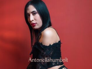 Antonellahumbolt