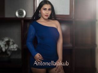Antonellajakub