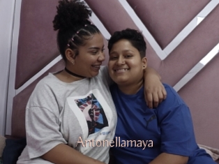 Antonellamaya