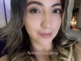 Antonellawidow
