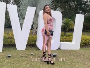 Antonellawilliam