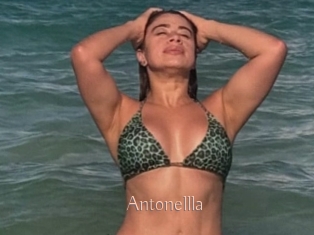 Antonellla