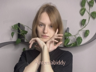 Antoniabiddy