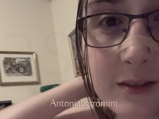 Antoniaborromini