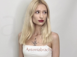 Antoniabracher