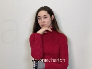 Antoniacharton