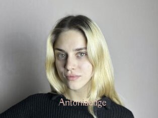 Antoniaedge