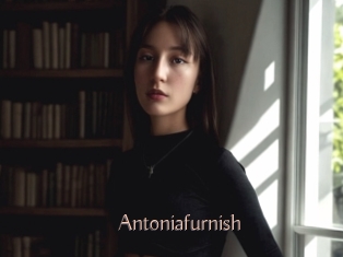 Antoniafurnish