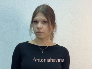 Antoniahavins