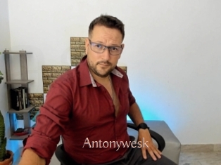 Antonywesk