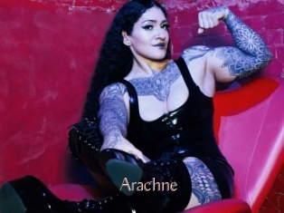 Arachne