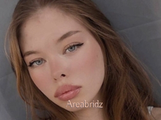 Areabridz