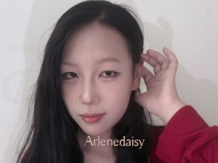 Arlenedaisy