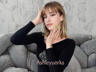 Ashleyuorks
