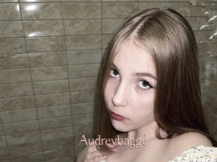 Audreybagge