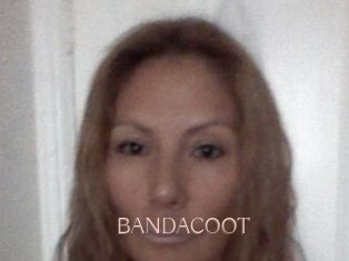 BANDACOOT