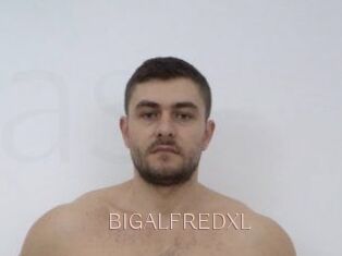 BIGALFREDXL