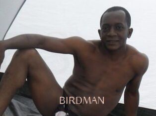 BIRDMAN Anal Sexe