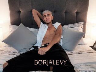 BORJALEVY