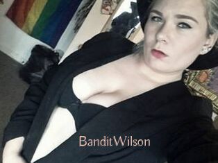 Bandit_Wilson