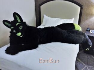 BaniBun