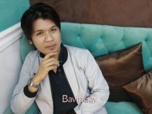 BavinGav