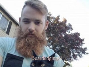 Beardedginger