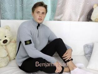 BenjaminKarl