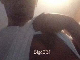 Bigd231