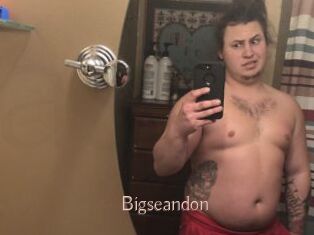 Bigseandon