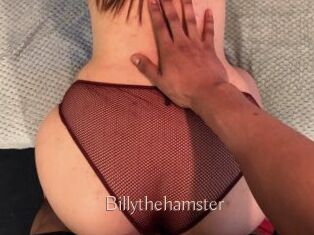 Billythehamster