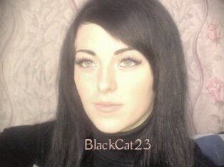 BlackCat23