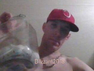 Blizzard2018