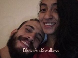 BlowsAndSwallows
