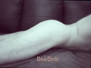 BlueBirdy