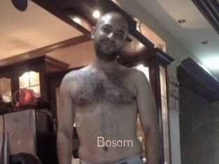 Bosom