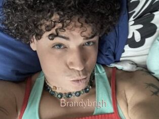 Brandybrigh