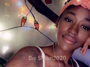 Bre_Shawn2020