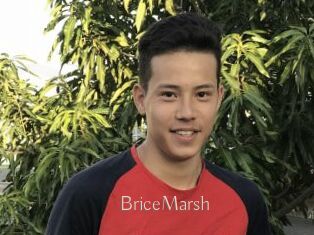 BriceMarsh