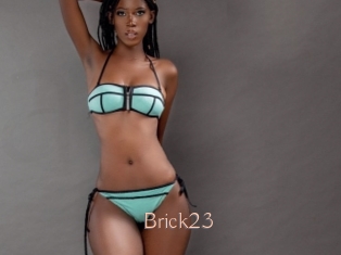 Brick23