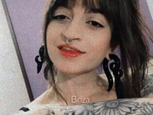 Briza
