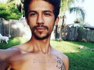 Bruce_Sullivan