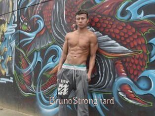 BrunoStronghard Anal Sexe