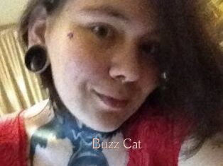 Buzz_Cat