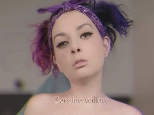 Bedside_willow