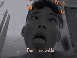 Benjaminwilde