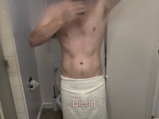 Bibud
