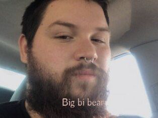 Big_bi_bear