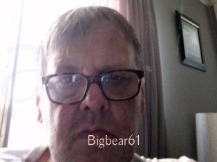 Bigbear61