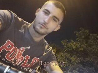 Bigcock_sh